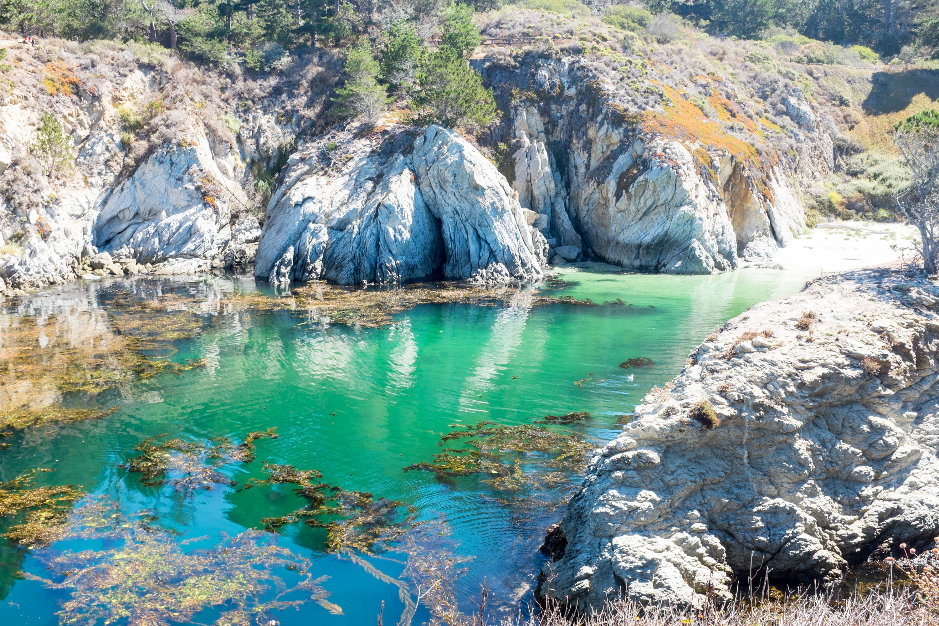 A Wanderer's Guide To Point Lobos State Reserve, California