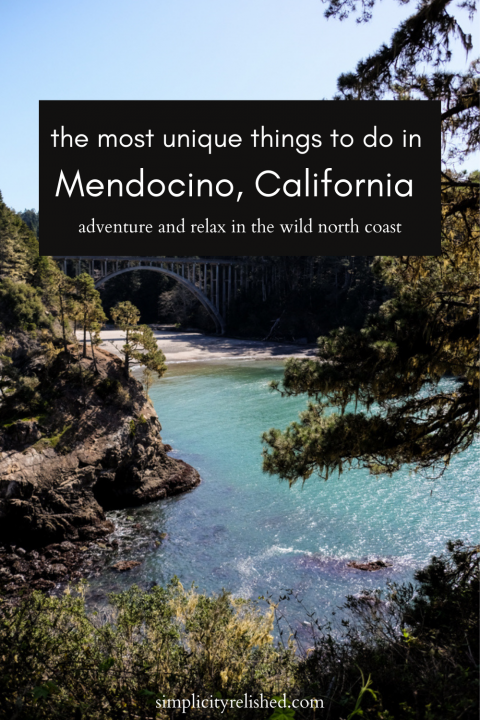 The Most Unique Things To Do In Mendocino California Laptrinhx News