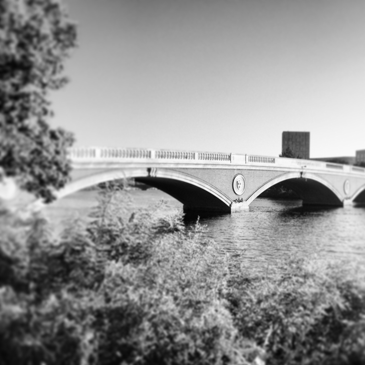 The Charles River