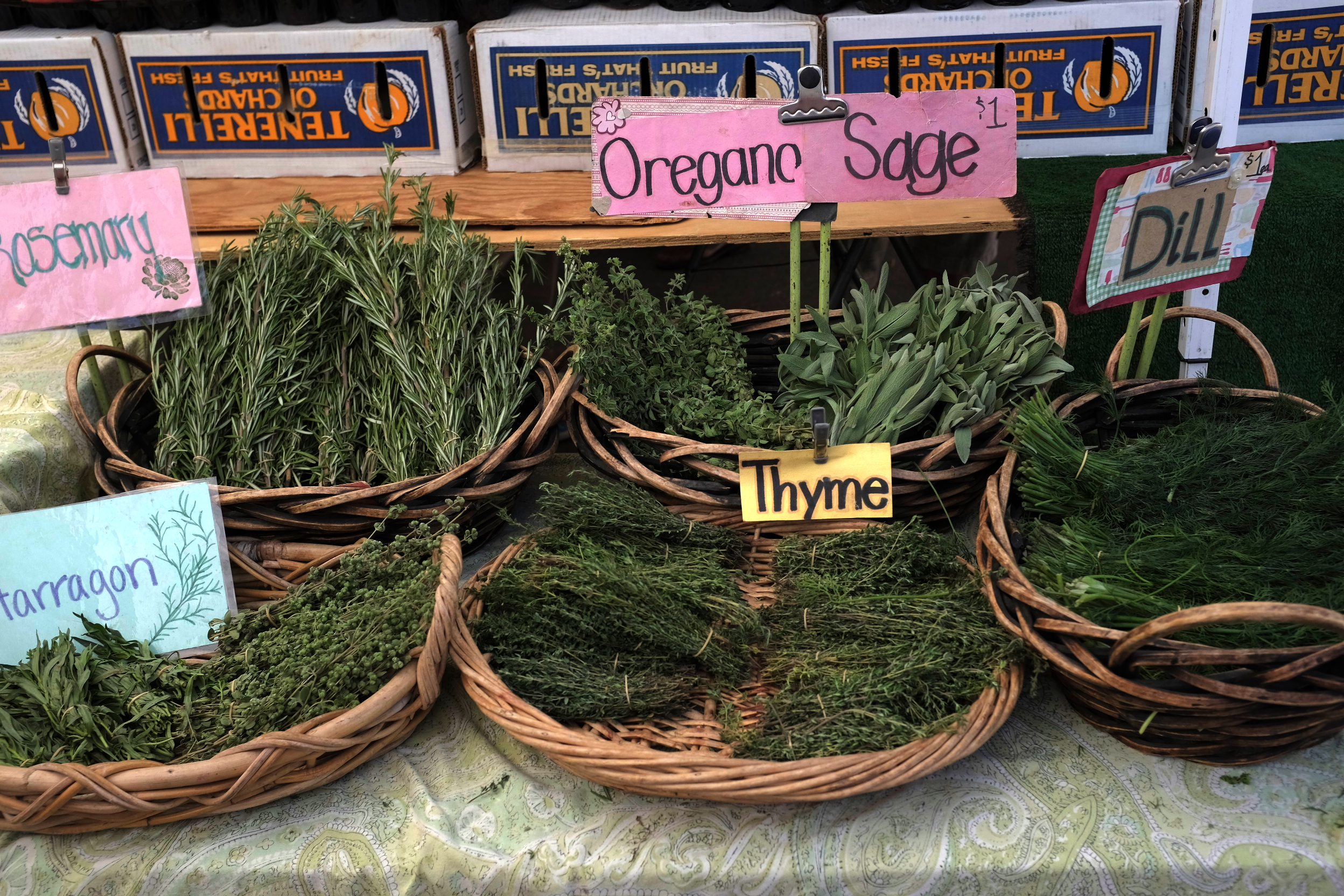 Fresh herbs-- a bundle for a dollar??