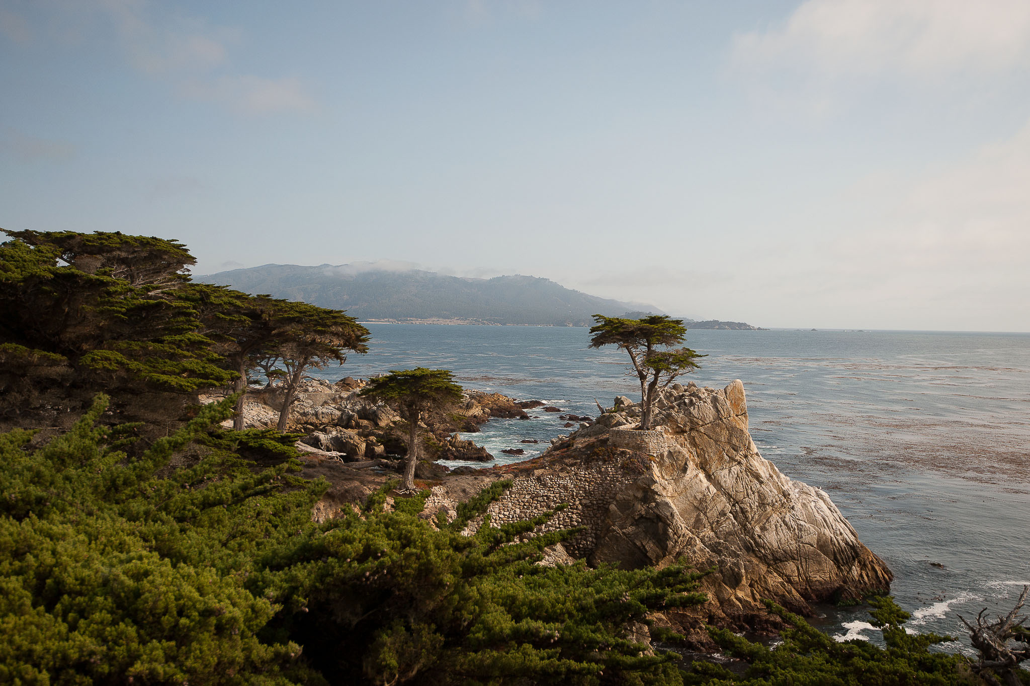 The Lone Cypress on 17 Mile Drive