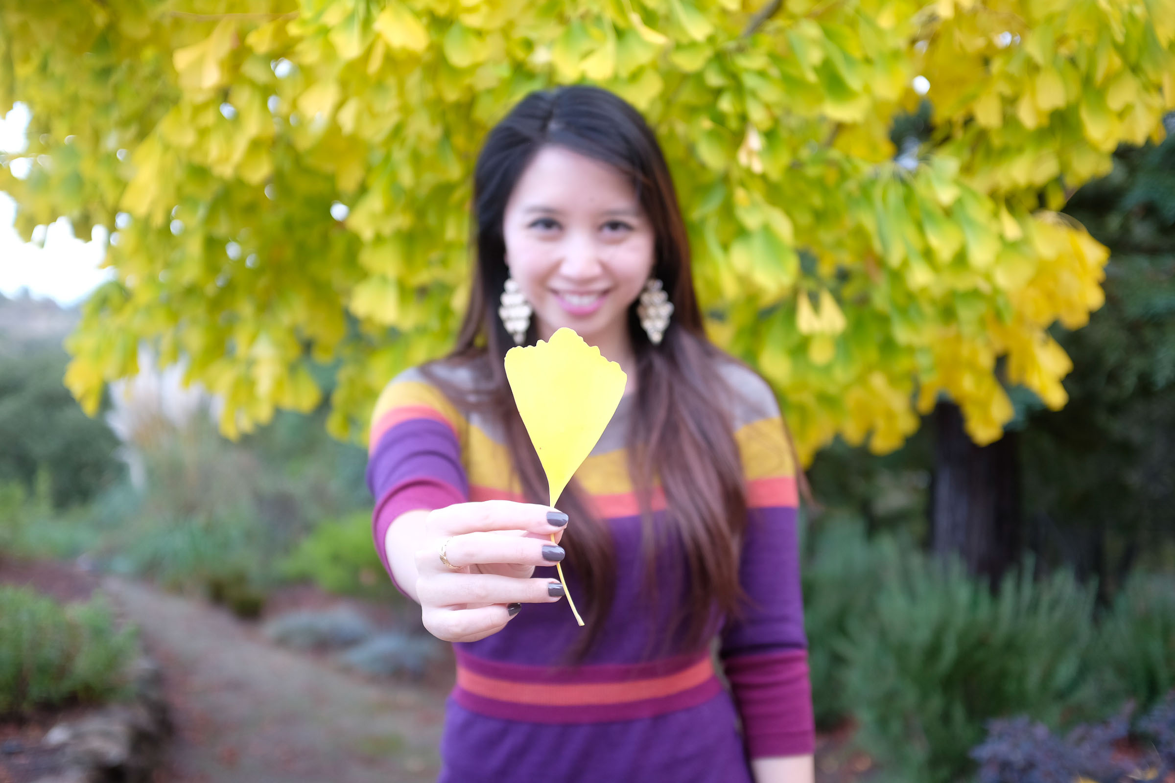 Leaves And A Sweater Dress