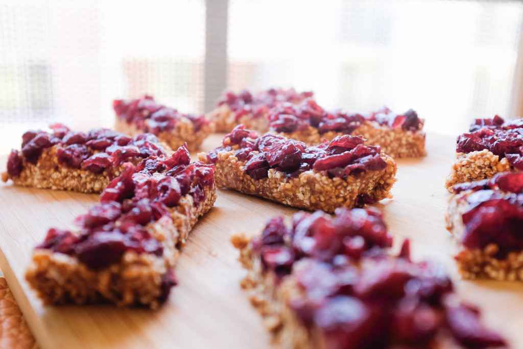 5 Ingredient Granola Bars with Steel-Cut Oats