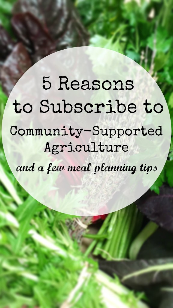 Community supported agriculture is the best way to dine seasonally and love the planet, here are some tips and reasons to consider it