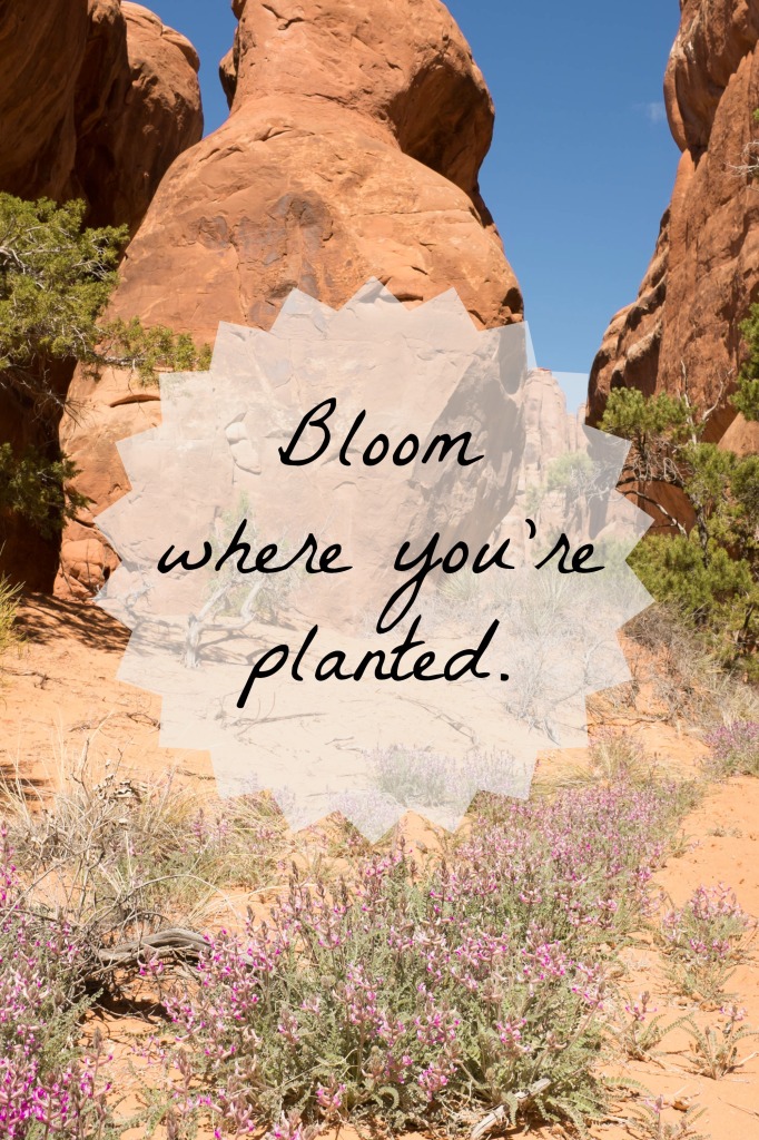 Bloom where you're planted