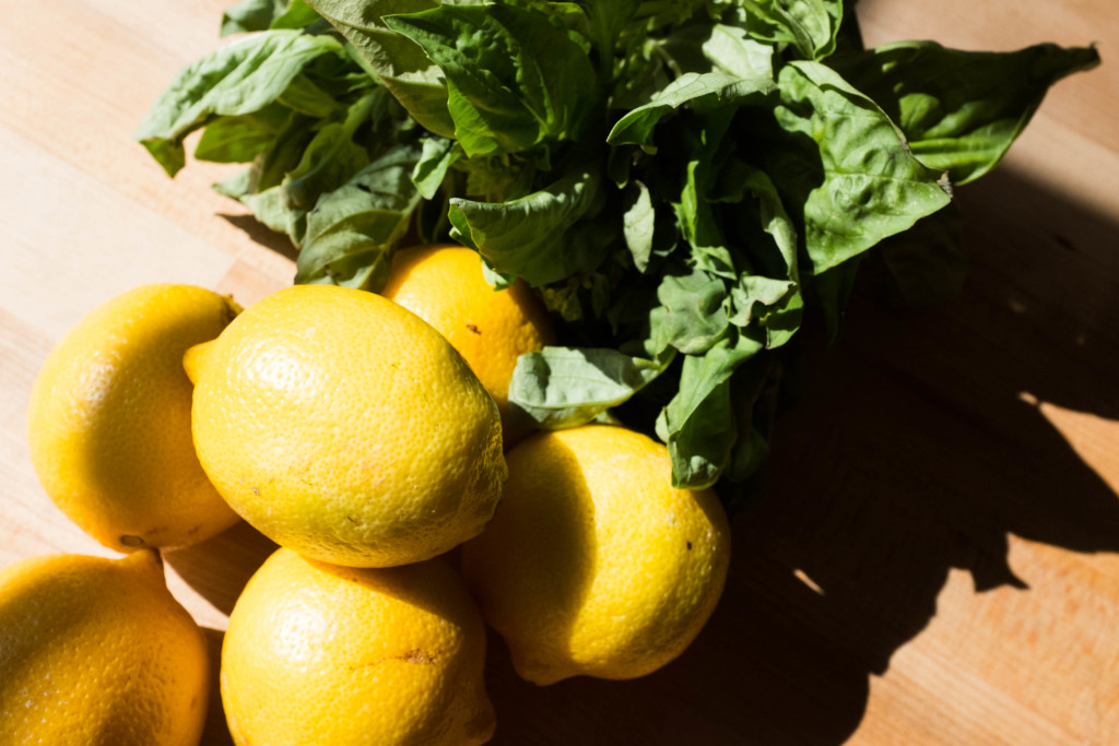 Effortless No-Squeeze Lemonade Ingredients