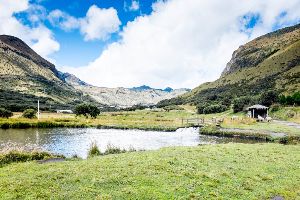 10 Best Snapshots From Ecuador - trout farm