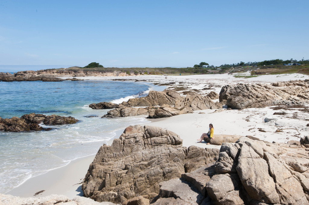 guide to 17 mile drive in pebble beach - simplicity relished