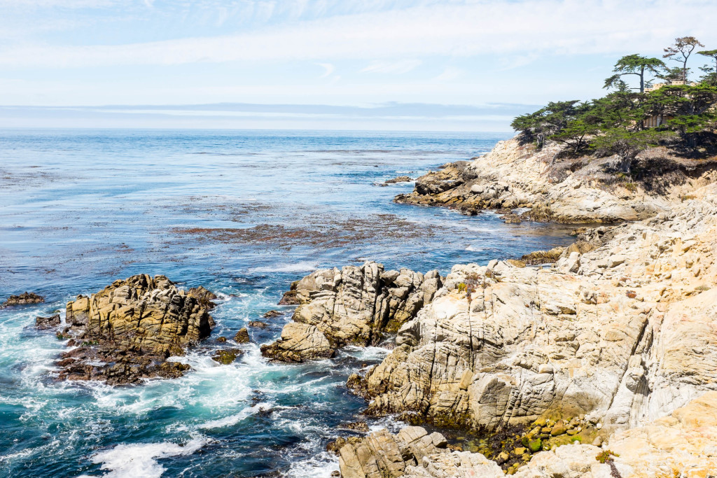 view from steps to lone cypress in pebble beach california