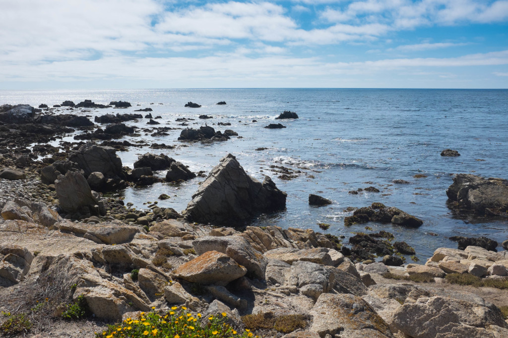 along the coast in pebble beach california