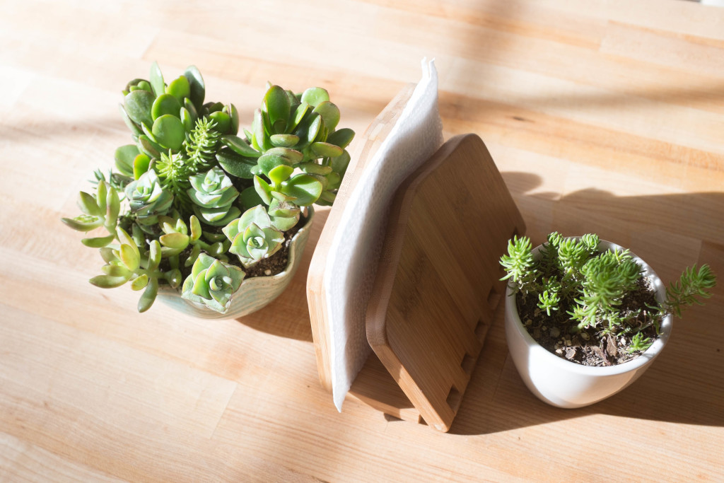 7 foolproof secrets to decorating with plants- centerpiece