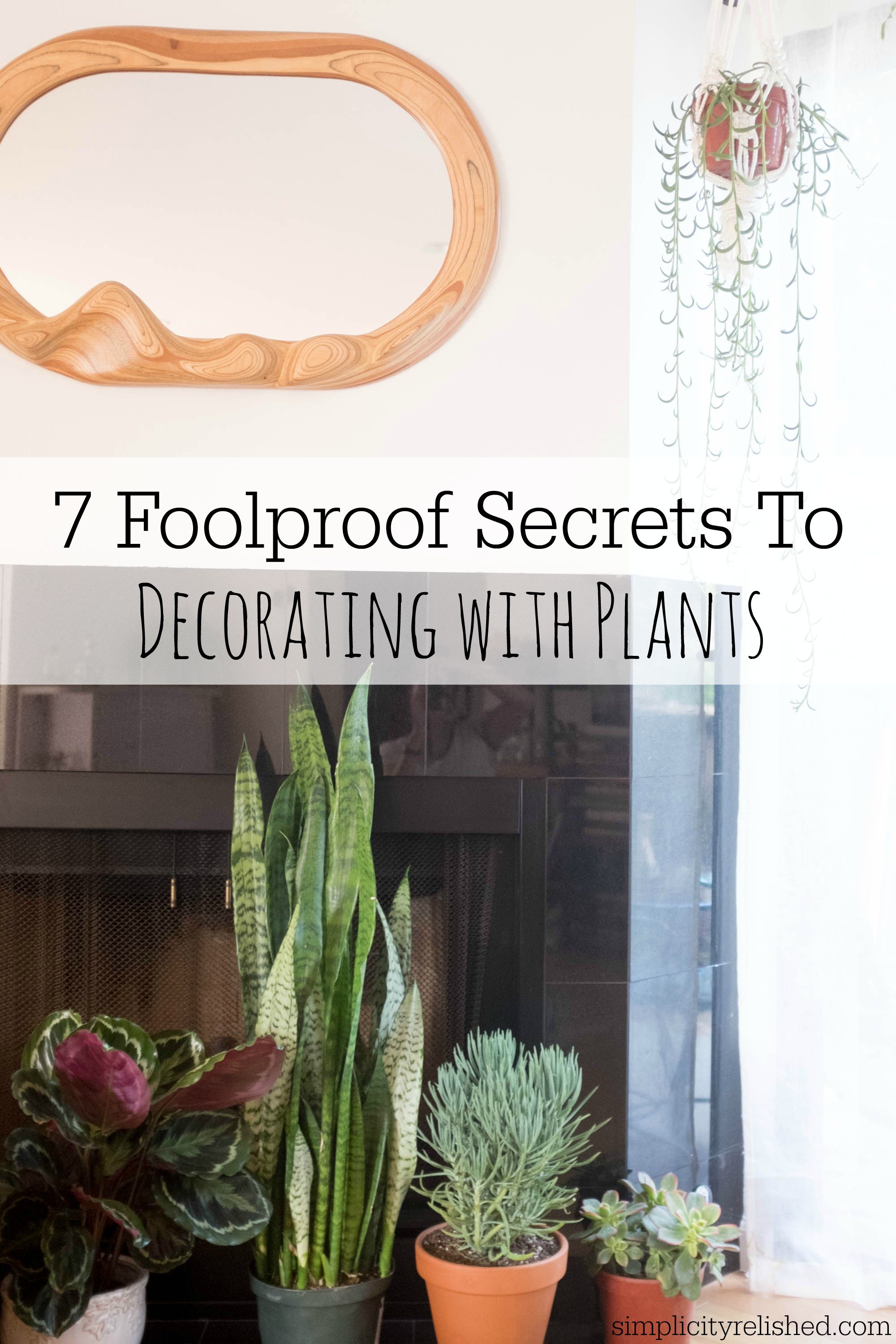 7 Foolproof Secrets To Decorating With Plants | Simplicity Relished