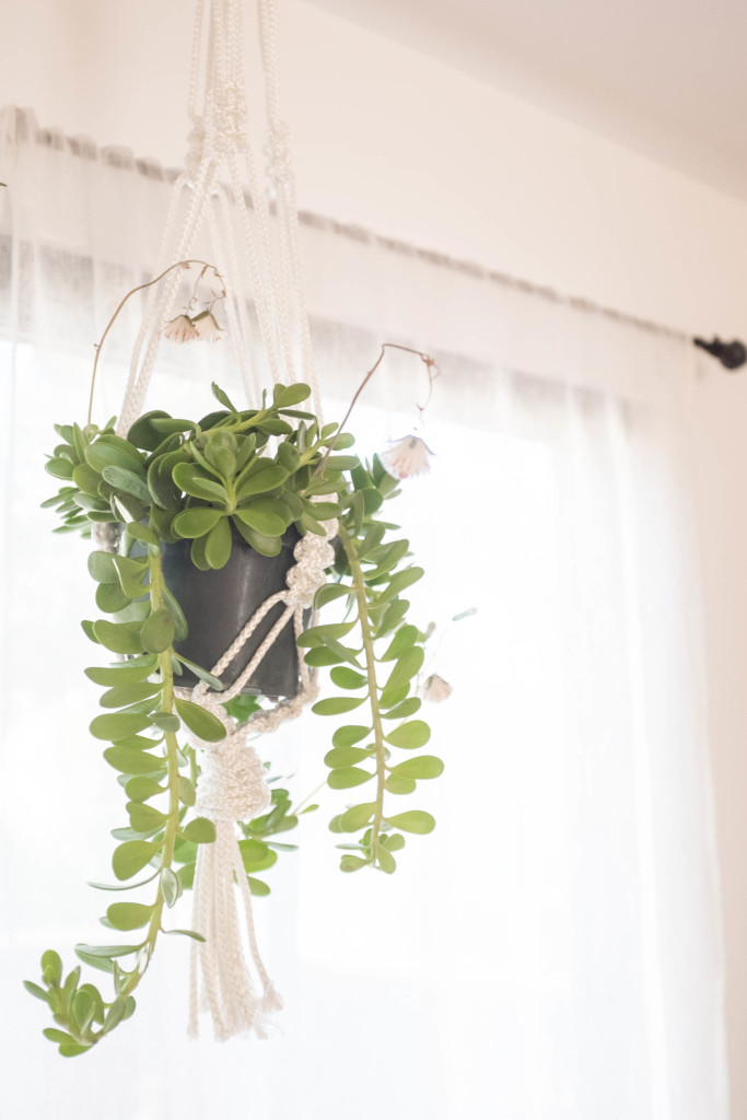 7 foolproof secrets to decorating with plants - macrame hanging planter