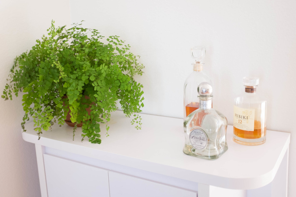 7 foolproof secrets to decorating with plants- maidenhair fern barcart