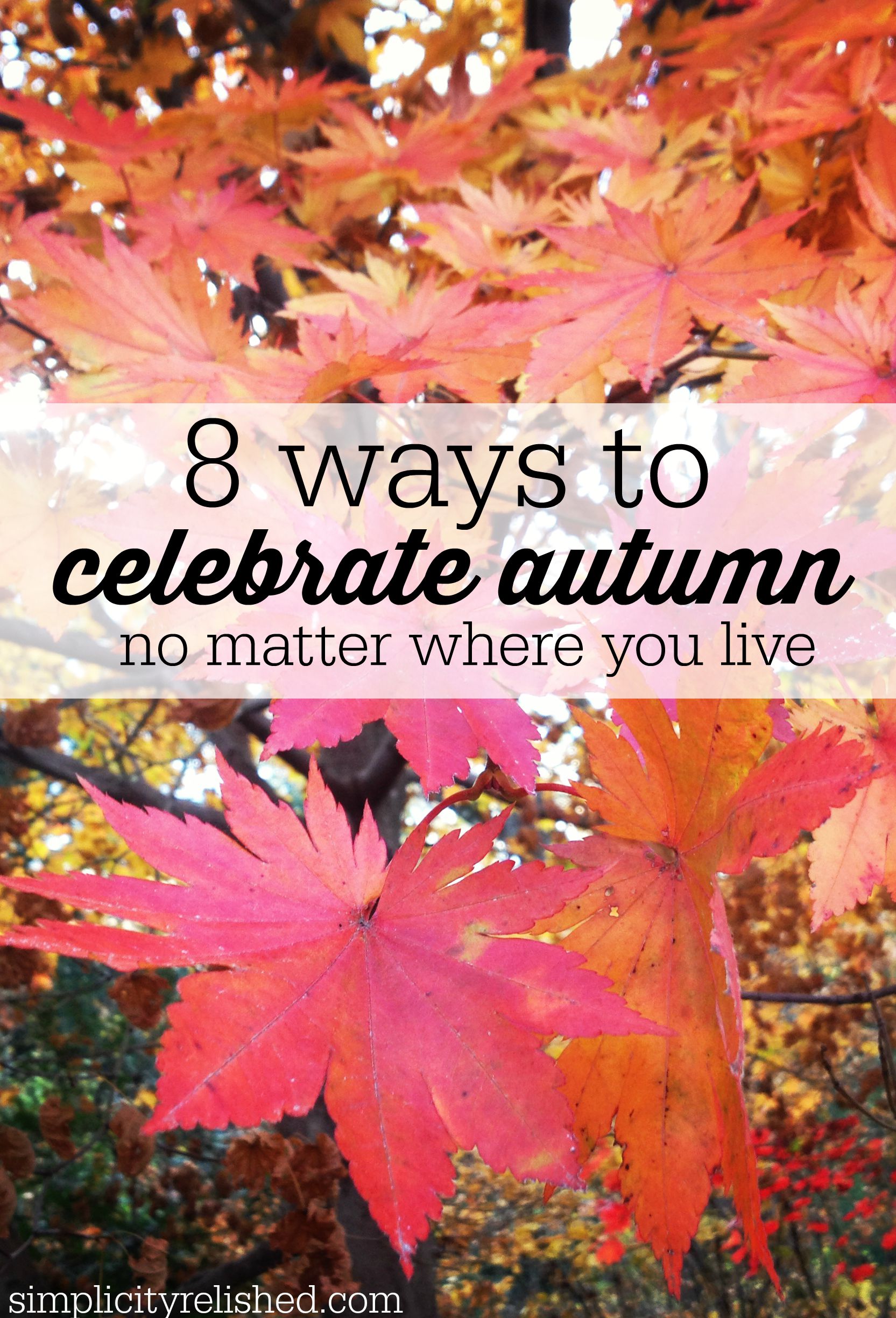 8 ways to celebrate fall no matter what the weather is