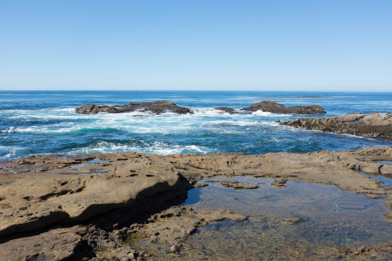 A Wanderer’s Guide To Point Lobos State Reserve, California ...