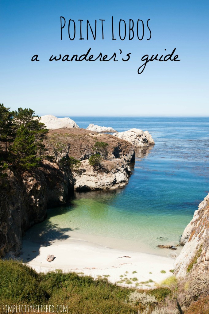 Point Lobos- a wanderer's guide to the California state reserve near Monterey