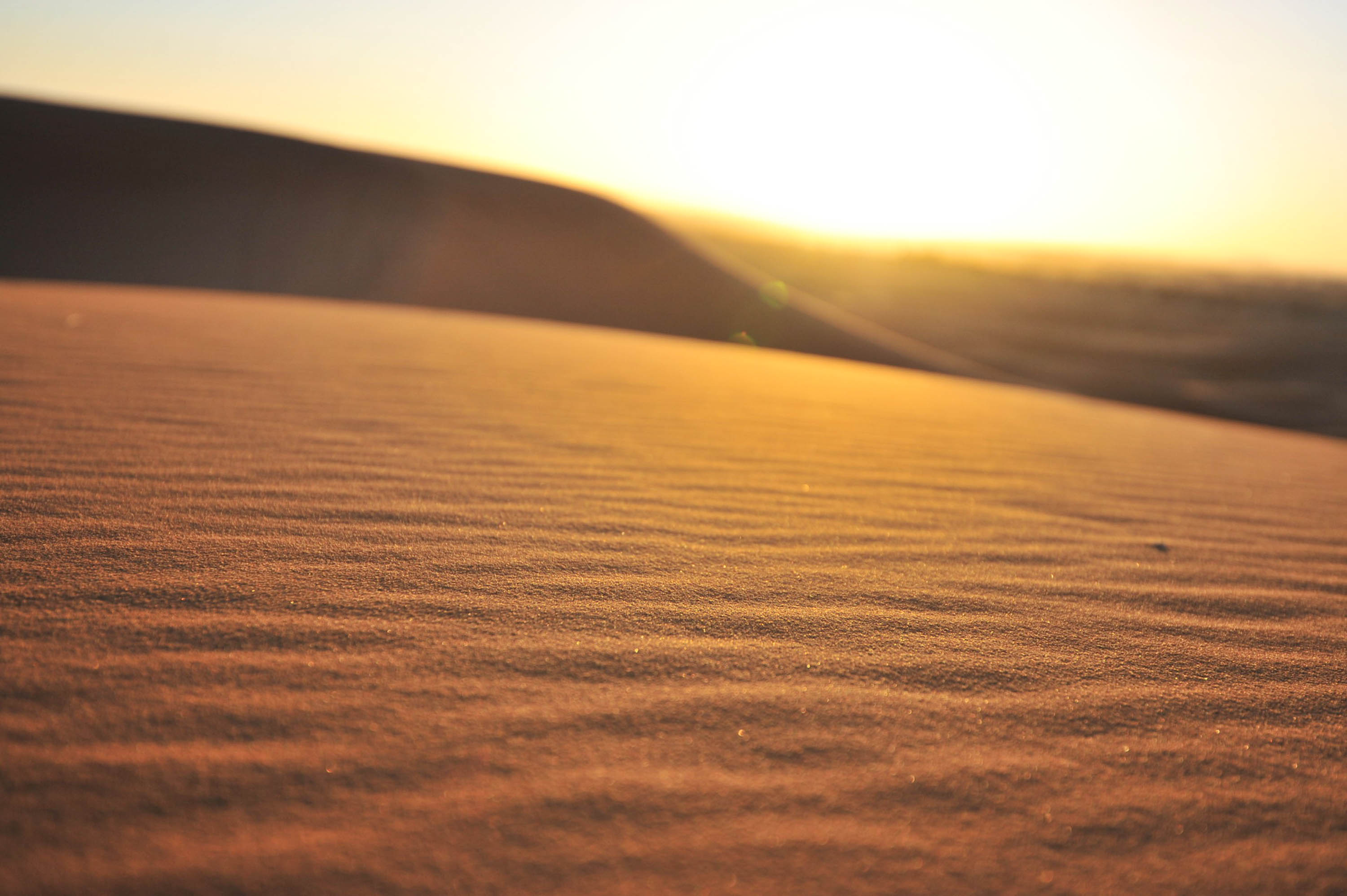 Into the Desert: Sahara Dunes and Surrounding Scenes