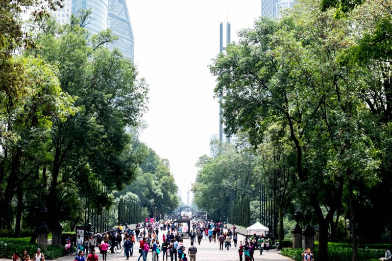 The Ultimate Guide To Mexico City in 2020: itinerary &amp; map | Simplicity ...