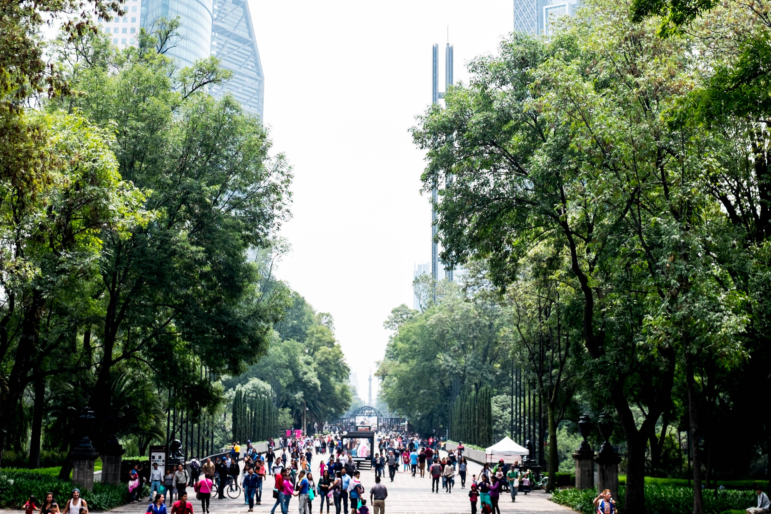 The Ultimate Guide To Mexico City in 2020: itinerary & map