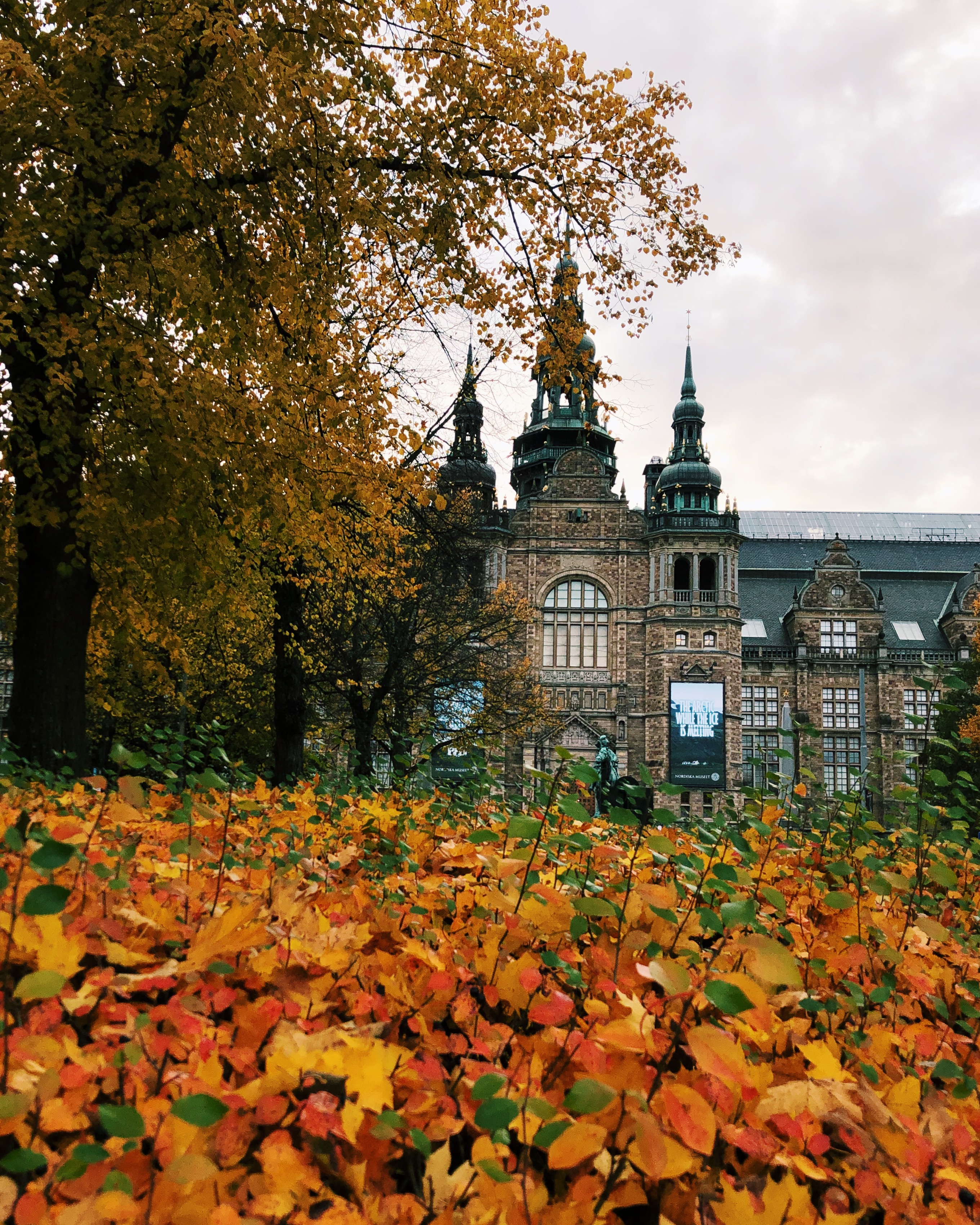 Why you should visit Stockholm in the fall