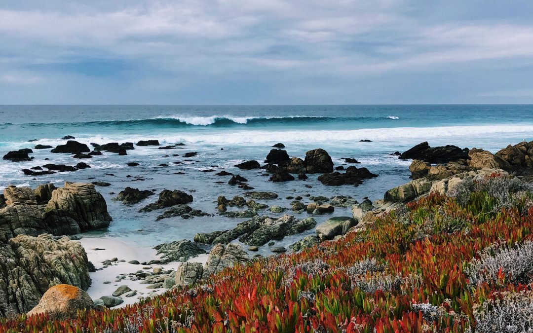 A road trip guide to California’s gorgeous central coast