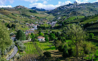 A getaway guide to Douro Valley, Portugal’s wine country